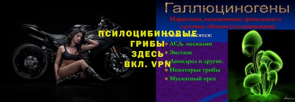 МДПВ Алзамай